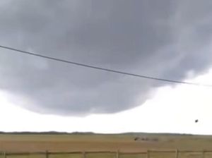 Heboh Sapi Terbang Diterpa Puting Beliung di Sukamara, BPBD Pastikan Hoaks