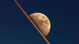 Deretan Foto Terlihat Sempurna, Satisfying Buat yang Perfeksionis