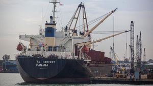 Pelabuhan Batam Makin Sibuk, Kunjungan Kapal Naik 6 Persen