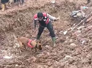 Polda Jateng Kerahkan 378 Anggota-Unit K9 Cari Korban Longsor Banjarnegara