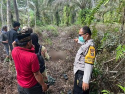 10 Hari Dilaporkan Hilang, Lansia Asal Musi Rawas Ditemukan Tewas di Kebun