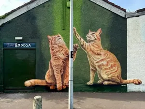 Kumpulan Foto yang Bisa Bikin Kamu Senyum-senyum