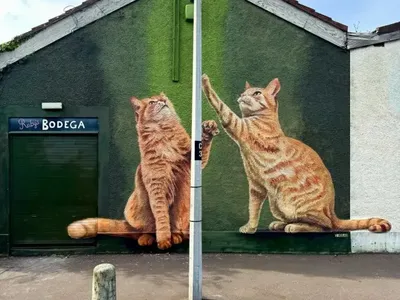 Kumpulan Foto yang Bisa Bikin Kamu Senyum-senyum