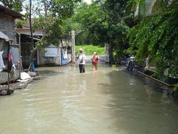 Banjir Rendam 5 Desa di Jombang Akibat Luapan Sungai Kulak