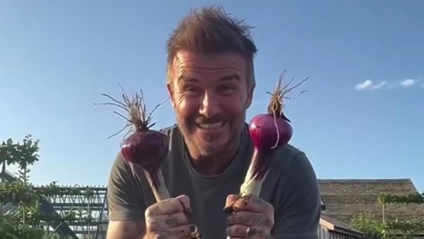 Momen David Beckham Pamer Hasil Kebun dan Pelihara Ayam di Belakang Rumah