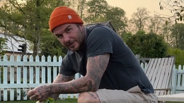 Potret David Beckham yang Hobi Berkebun hingga Ketika Ternak Ayam