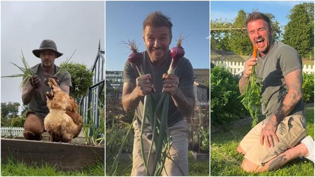 David Beckham Asyik Berkebun Usai Pensiun, Tanam Sayuran hingga Pelihara Ayam