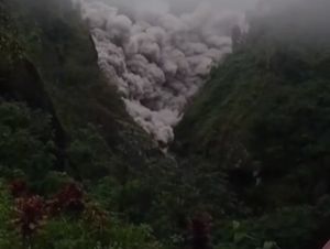 Awan Panas Guguran Semeru Mengarah ke Dua Sungai Ini
