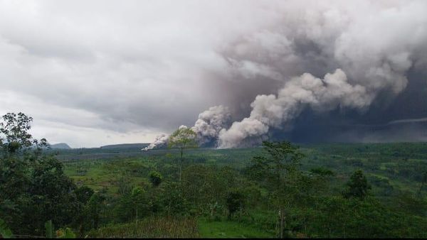 Penampakan Awan Panas Gunung Semeru Meluncur ke Pemukiman