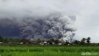 Status Gunung Semeru Kini Naik ke Level Awas Usai Erupsi