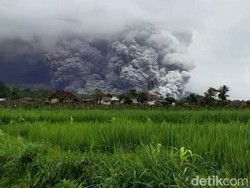 Status Gunung Semeru Kini Naik ke Level Awas Usai Erupsi