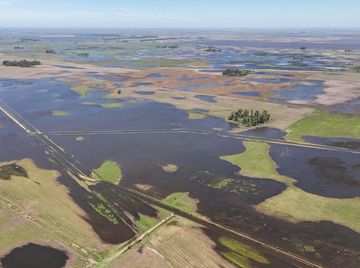 Jutaan Hektare Lahan Pertanian di Buenos Aires Terendam Banjir