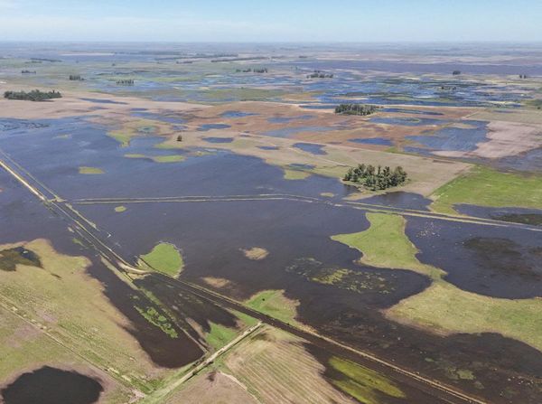 Jutaan Hektare Lahan Pertanian di Buenos Aires Terendam Banjir