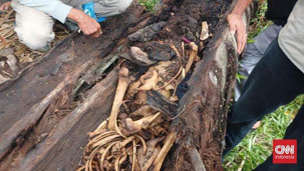 Penemuan kerangka manusia di dalam batang pohon aren tumbang di Kabupaten Serdang Bedagai (Sergai), Sumatera Utara akhirnya terungkap. Polisi memastikan tulang belulang tersebut merupakan M Yudha, pemuda 23 tahun yang hilang sejak dua tahun lalu.