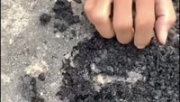 Viral Aspal Baru di Lombok Tengah Terkelupas, Dinas PUPR Buka Suara