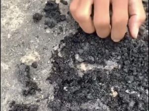 Viral Aspal Baru di Lombok Tengah Terkelupas, Dinas PUPR Buka Suara