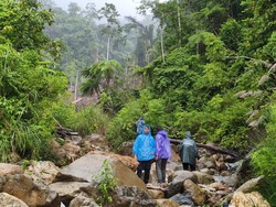 Begini Beratnya Medan Ditempuh Bareskrim demi Musnahkan Ladang Ganja di Aceh