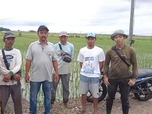 Petani Sumber Makmur Apresiasi Pemerintah: Harga Sawah Naik-Panen Melimpah