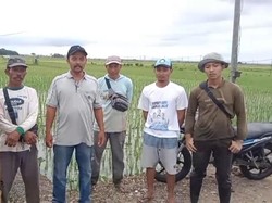 Petani Sumber Makmur Apresiasi Pemerintah: Harga Sawah Naik-Panen Melimpah