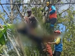 Video: Remaja di Pemalang Tewas Tersetrum saat Tebang Pohon Cengkeh