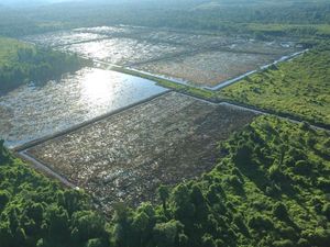 Kebut Cetak Sawah 202 Hektare di Tarakan, TNI Dilibatkan Garap Lahan