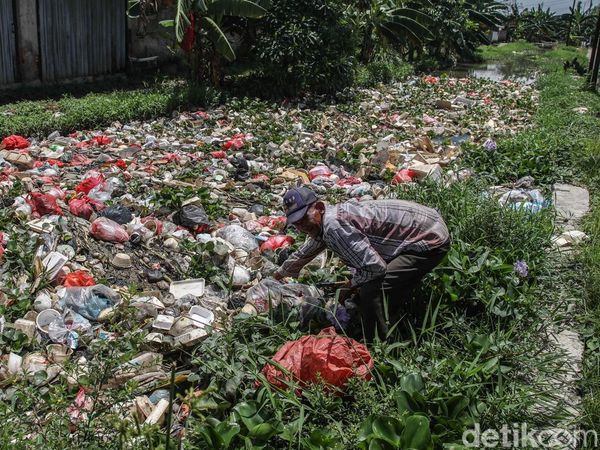 Sampah dan Eceng Gondok Lumpuhkan Irigasi di Babelan Bekasi