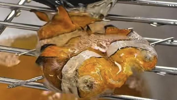 Chef masak nemo Wow! Chef Ini Nekat Masak Ikan Nemo jadi Menu Mewah