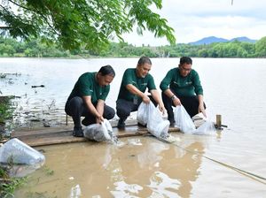 Bank NTB Syariah Gelar Aksi Hijau di Bendungan Penyaring Sumbawa