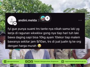 Video: Klarifikasi Penyebar Isu Pakan Harimau Ragunan Dibawa Pulang