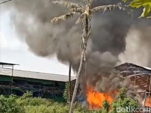 12 Ribu Ekor Ayam Mati Terpanggang Saat Kebakaran Kandang di Probolinggo