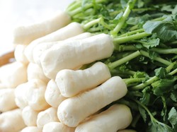 7 Manfaat Parutan Lobak Putih untuk Kesehatan yang Kaya Nutrisi bagi Tubuh