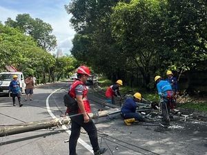 Tiang Listrik Roboh di Metro Tanjung Bunga Makassar gegara Pohon Tumbang