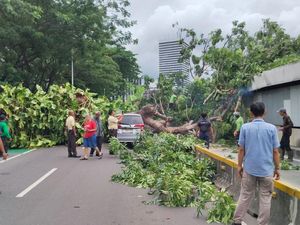 Penyebab MRT Jakarta Gangguan Hari Ini: Pohon Tumbang Bikin Listrik Padam
