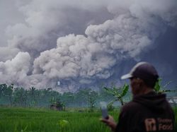 Riwayat Erupsi Gunung Semeru dari 1818 sampai Sekarang