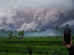 Rentetan Erupsi Semeru dengan Awan Panas, Letusan Terbesar November 2025