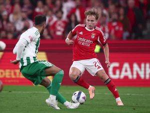 Sebar Video Porno Anak-anak, Rekan Haaland Dijatuhi Hukuman Penjara