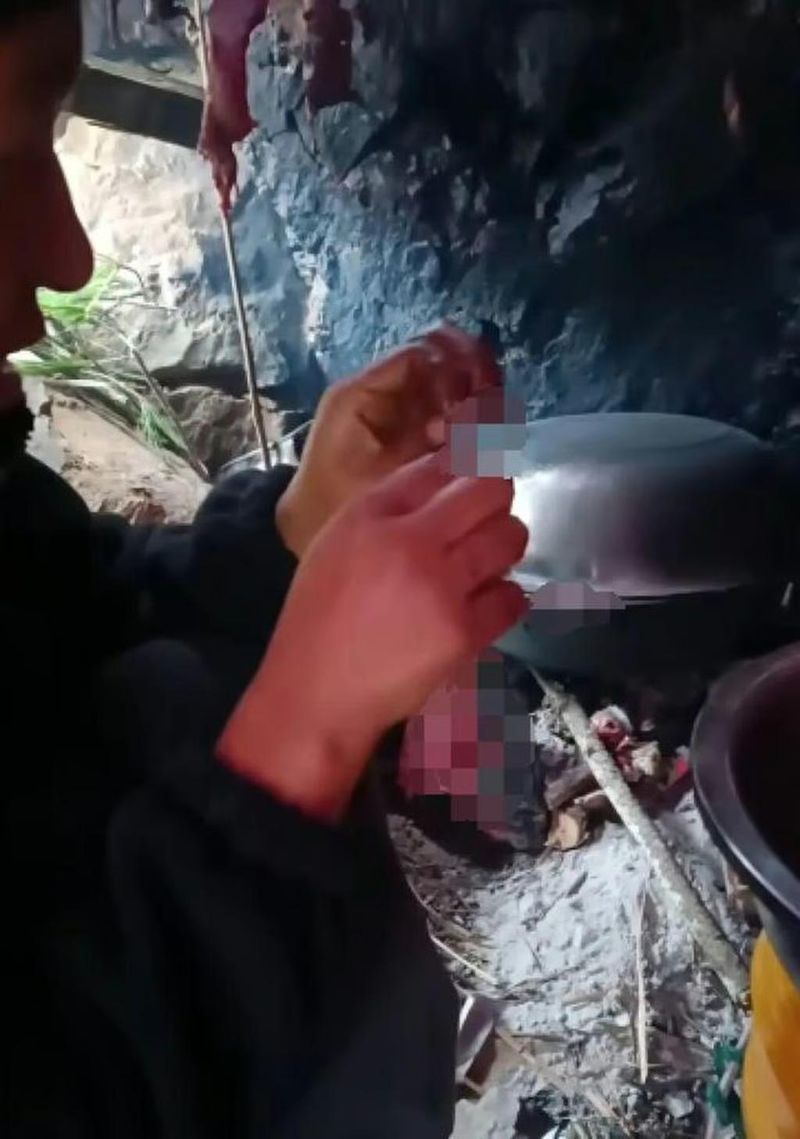 Turun 14 Kg dalam Sebulan, Peserta Survival Ini Ngaku Makan 50 Tikus!