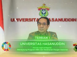 Unhas Terbaik Pertama SDGs Action Award 2025, Ungguli IPB-Telkom University