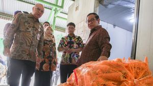 Viral Harimau Kurus, Gubernur Pramono Langsung Cek Kondisi Ragunan