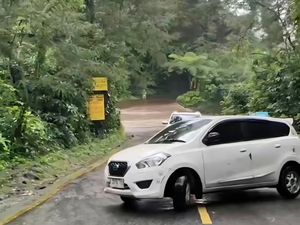 Taman Safari Sempat Banjir Selasa Kemarin, Pengelola Pastikan Satwa Aman