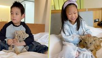 Gokil! Tak Disangka, Tamu Hotel Ini Bisa Minta Dibangunin sama Anak Singa