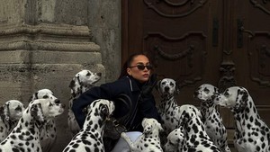 Tren Influencer Foto dengan Hewan AI Bikin Heboh, Dianggap Menyesatkan