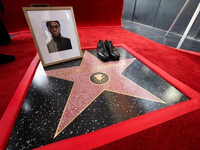 Bintang untuk Chadwick Boseman, Hollywood Abadikan Sang Raja Wakanda