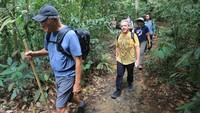 Jungle Trekking di Leuser, Petualangan Menikmati Wisata Alam Liar