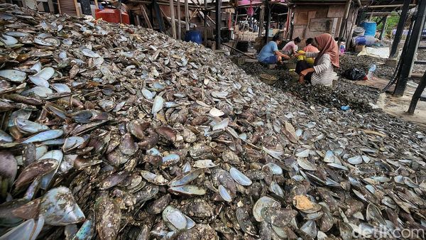 Kerang Hijau dan Liku Ekonomi Warga Muara Angke