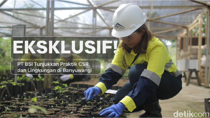 Melihat Jejak Hijau Tambang: BSI Membuka Pintu Transparansi Operasi di Banyuwangi