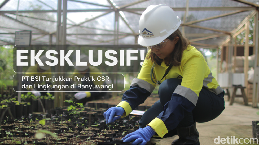 Melihat Jejak Hijau Tambang: BSI Membuka Pintu Transparansi Operasi di Banyuwangi