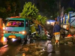 Pohon Tua di Depan RSUD Sekarwangi Tumbang Timpa Angkot