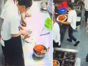 Duh! Restoran Ini Diprotes Gegara Chef Potong Kepiting di Atas Lap