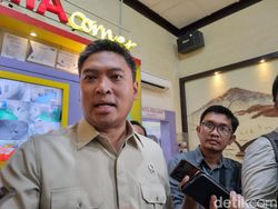 Wamentan: 40.000 Ha Sawah Terdampak Banjir Sumatera, 5.000 Ha Gagal Panen